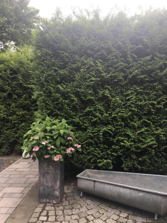 Ferienhaus Am Park Leipzig Dış mekan fotoğraf